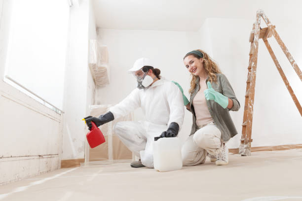 Best Mold Removal for HVAC Installations  in Tyndall, SD